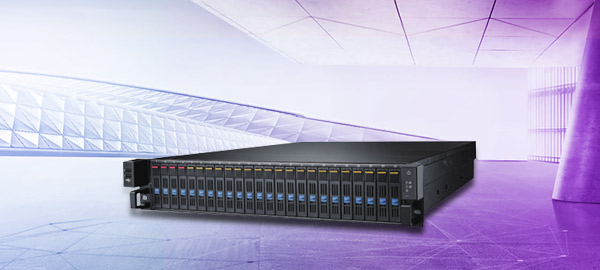 研华HPC8224SE1701E-T 2U24盘双路 短机身存储服务器